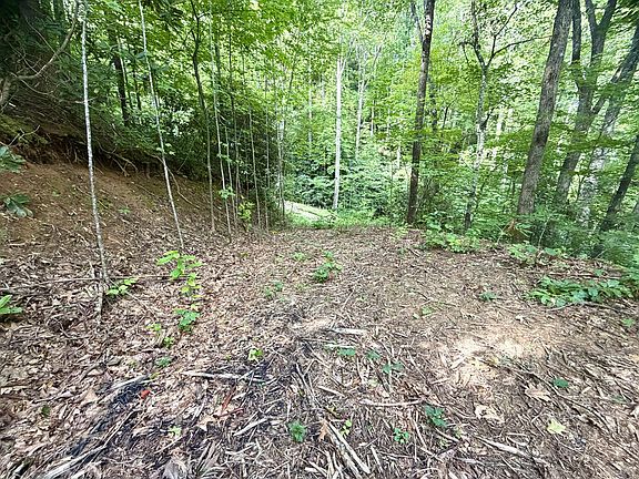 3rd image of 0 State Route 1240 Sawyers Creek Rd
