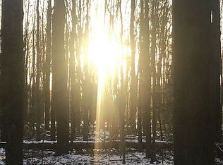 11702 State Rd, Nunica, MI 49448