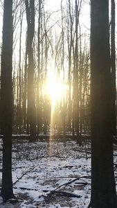 11702 State Rd, Nunica, MI, 49448