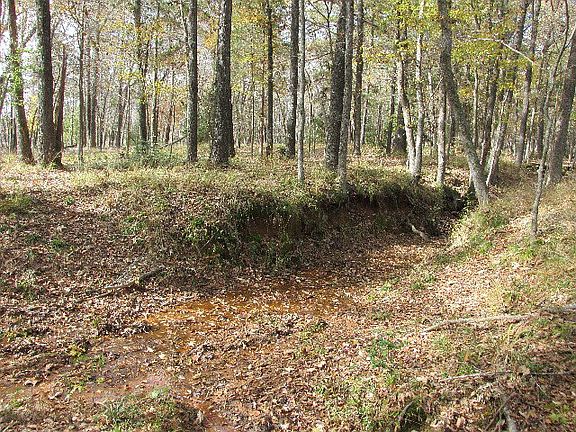 4th image of 499 An County Road 4365