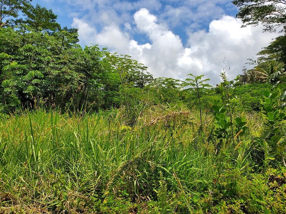 1st image of Kahakai Blvd Lot 396