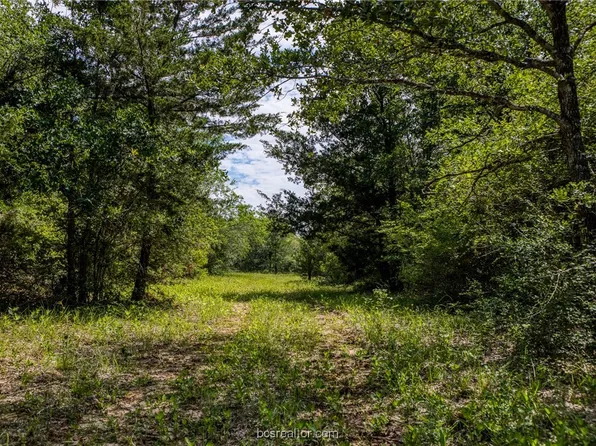 County Road 229, Caldwell, TX 77836