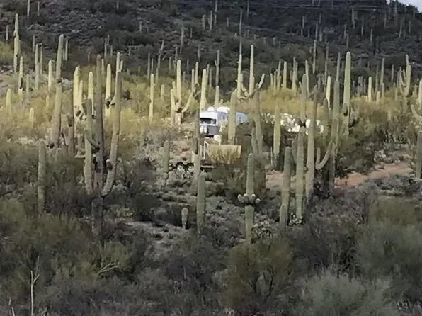 31130 S Ladybug St, Marana, AZ 85658