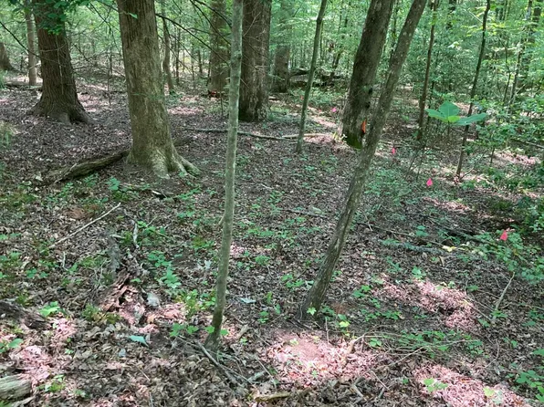 LOT 5 Fincastle Rd, Rogers, KY 41365