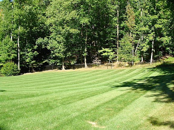 Large rear yard - 1 acre