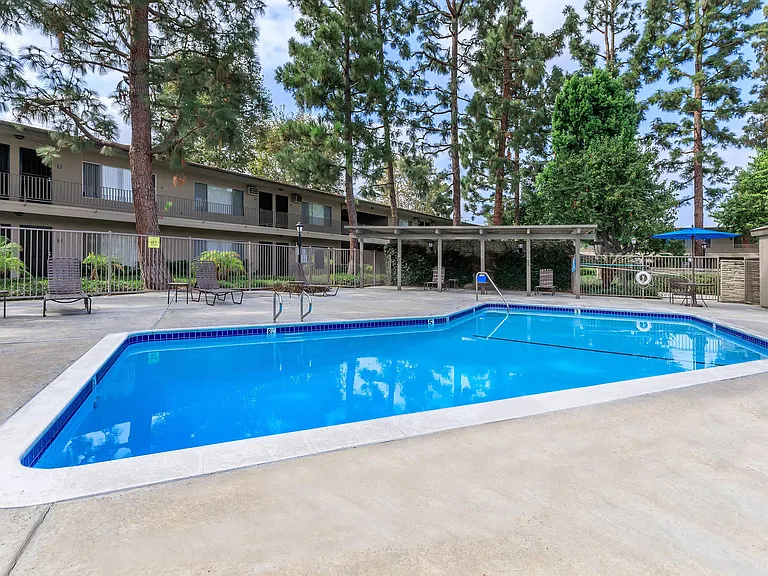 Saddleback Pines Apartment Homes — Photo 11