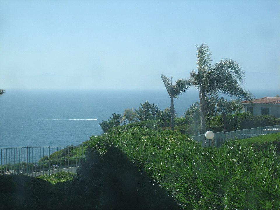 View from Den