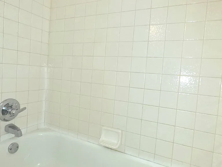 2nd Bathroom/Tub