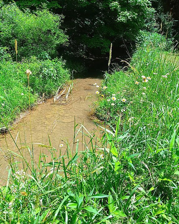 1st image of Jones Run Rd