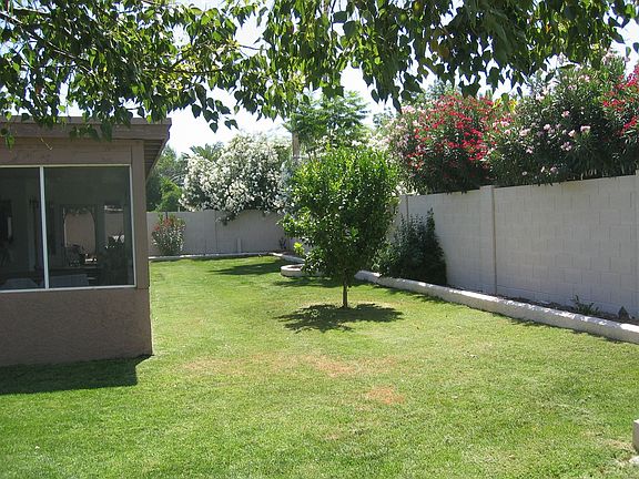 Back yard