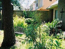 3rd image of 14043 Cashel Forest Dr