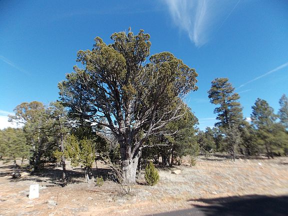 2nd image of 1476 Low Mountain Trl