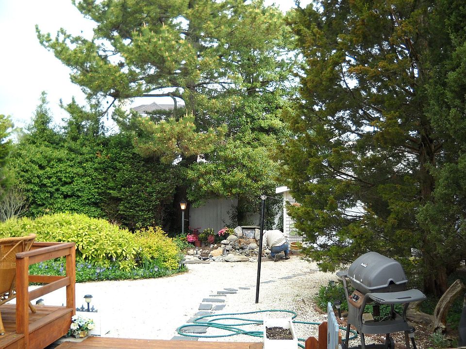 Backyard Spring 2010