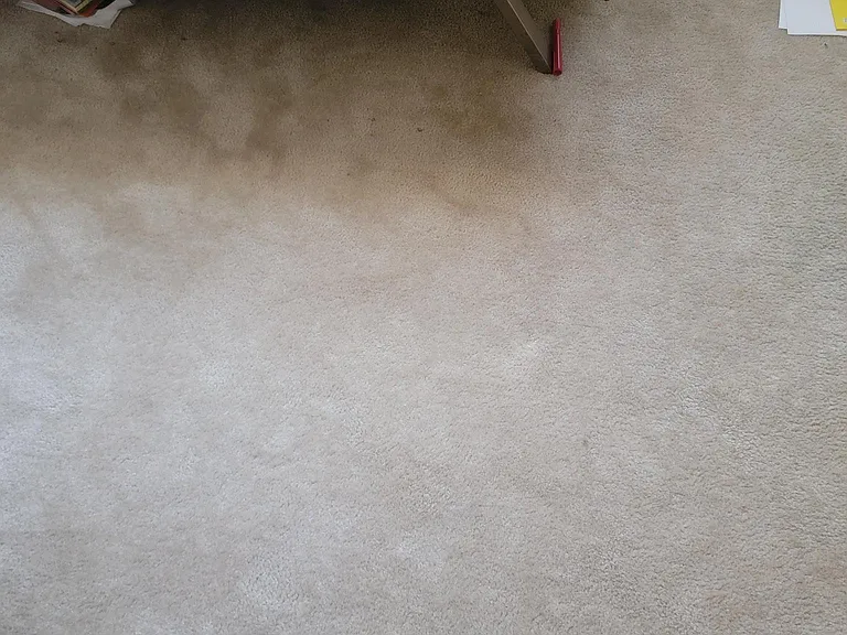 2nd bedroom carpet