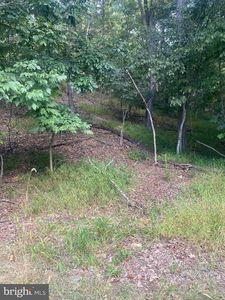 1116 Lakeview Dr, Cross Junction, VA, 22625