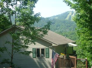 105 Ash Ln, Banner Elk, NC 28604