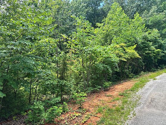 2nd image of 1.31 Ac Wood River Ln