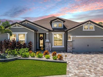 31510 Colada Drift Way, Wesley Chapel, FL, 33545