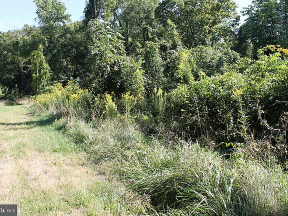 2nd image of 28 Friends Creek Trl