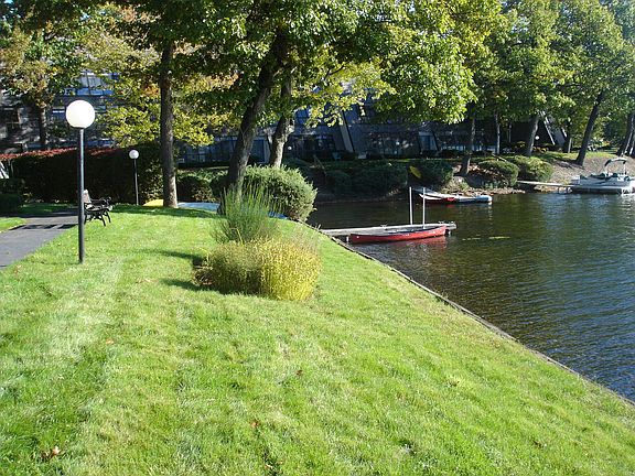Lawn outside building
