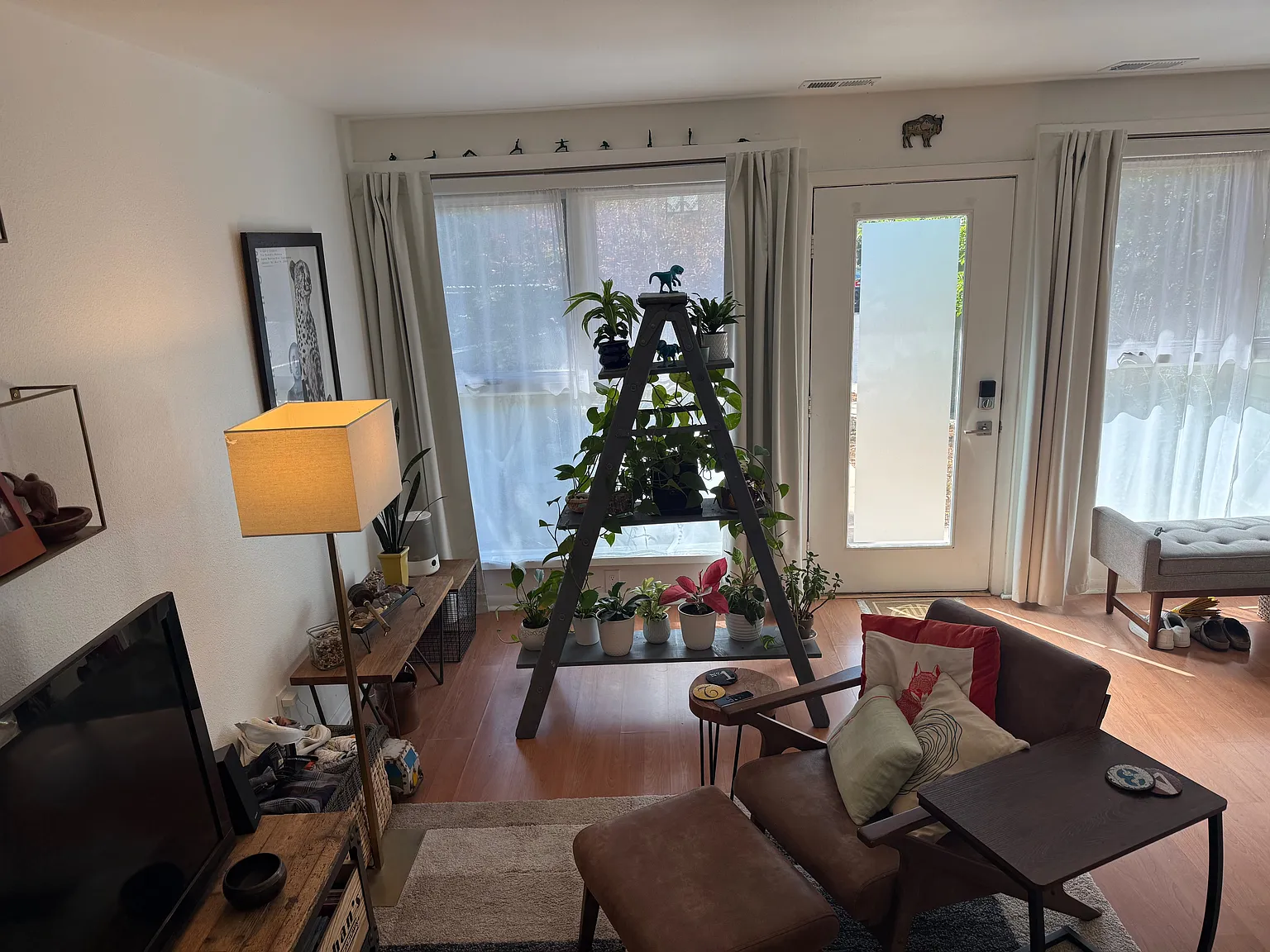 2 bed, 976 sqft, $2,425 — Photo 2