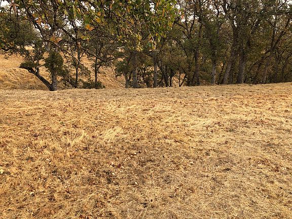4th image of 19454 Little Valley Dr
