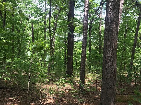 4th image of 266 County Road 323