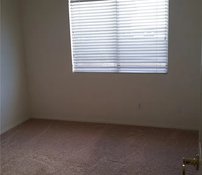 1513 War Paint Dr — Photo 21