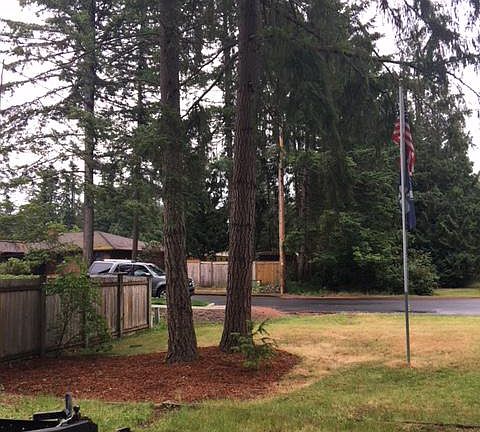 flag pole and partial side yard