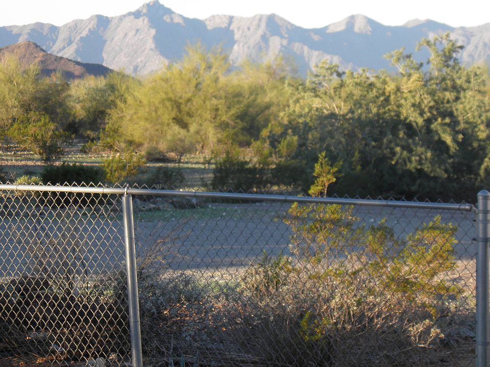 1st image of 10011 S 31st Dr