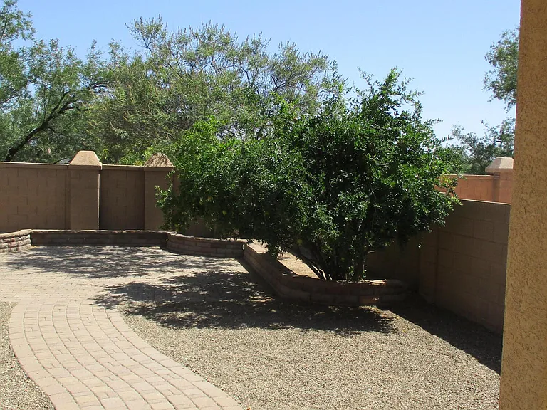 14375 S Camino El Galan — Photo 25