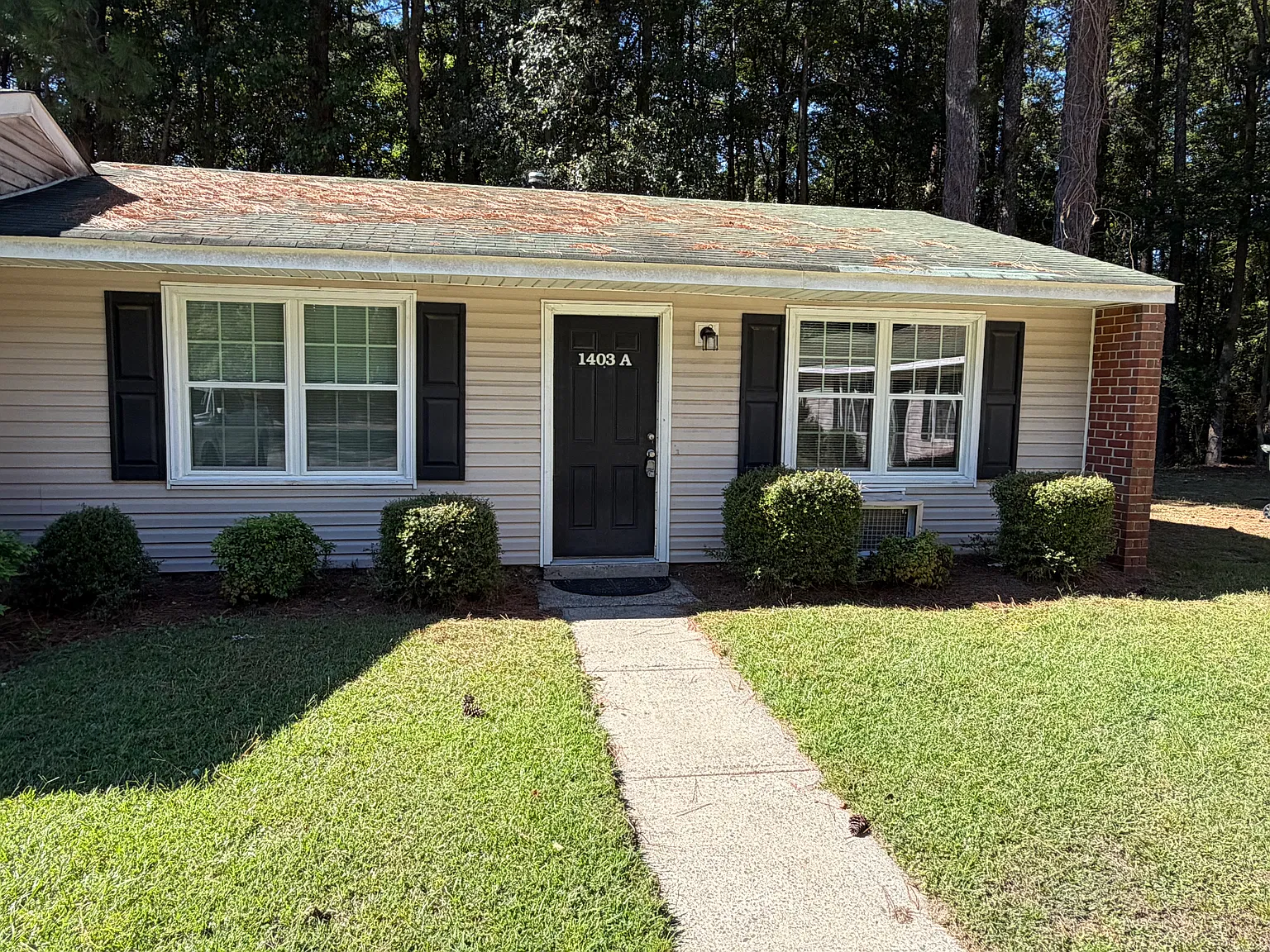 2 bed, 800 sqft, $925 — Photo 2