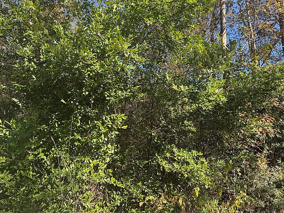 2nd image of Tbd Lakeview Ln
