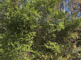 Tbd Lakeview Ln, Shepherd, TX 77371