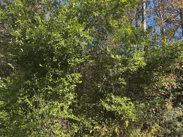 Tbd Lakeview Ln, Shepherd, TX 77371