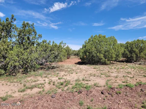 County Road 8281, Concho, AZ 85924