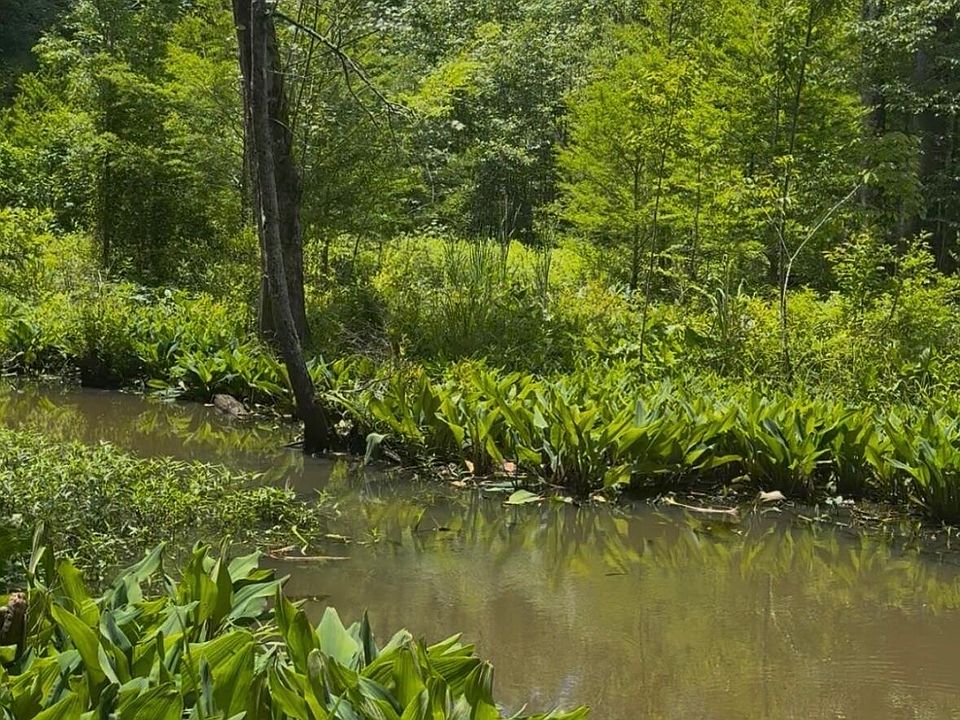 1st image of 0 Gardenia Rd #0