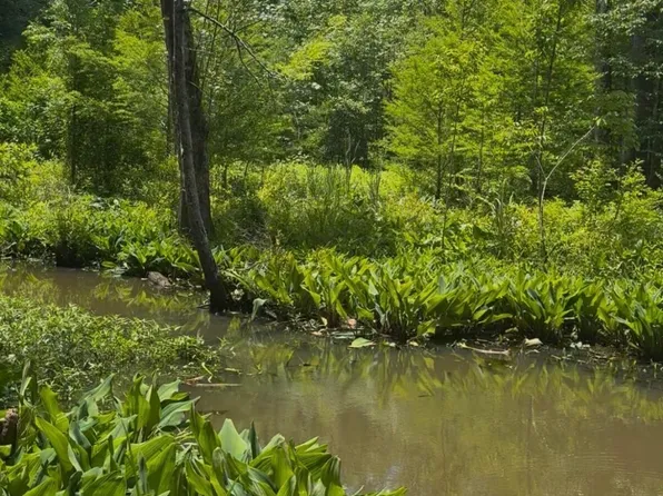 0 Gardenia Rd #0, Blackville, SC 29817