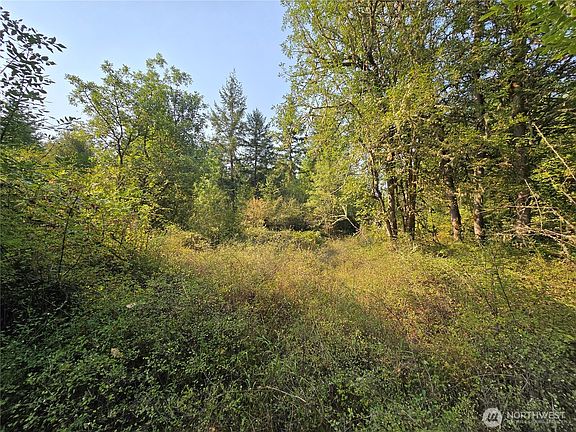 4th image of 13849 Starflower Lane SE
