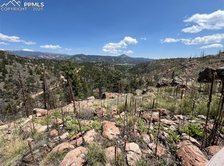 160 Chateau West Dr, Florissant, CO 80816