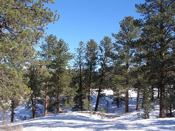 3rd image of 2416 County Road 318