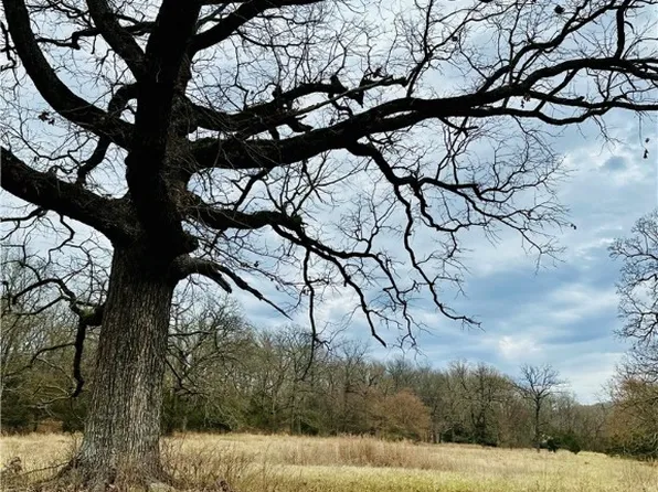 10810 W Highway 156, West Fork, AR 72774