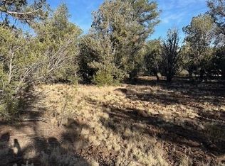 Anvil Anvil #30111302, Seligman, AZ 86337