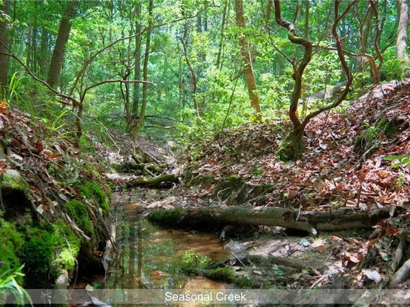 7 Highway 62, Angie, LA 70426