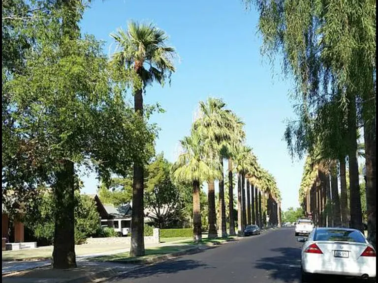 W Willetta St — Photo 4