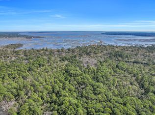 0 Drizzle Bluff Rd, Woodbine, GA 31569