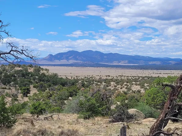 Lookout Cir, Datil, NM 87821
