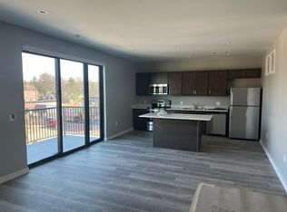 110 S Bridge St #11202601, Dewitt, MI 48820