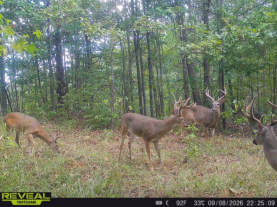 1st image of 0 Halls Rd