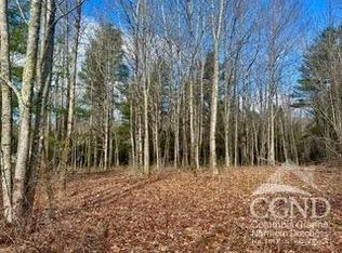 611 Old Rd, Windham, NY 12496
